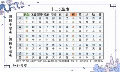 12 長生表|八字十二長生解讀——長生